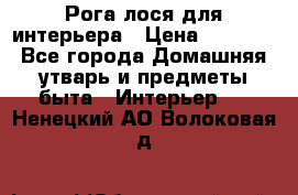 Рога лося для интерьера › Цена ­ 3 300 - Все города Домашняя утварь и предметы быта » Интерьер   . Ненецкий АО,Волоковая д.